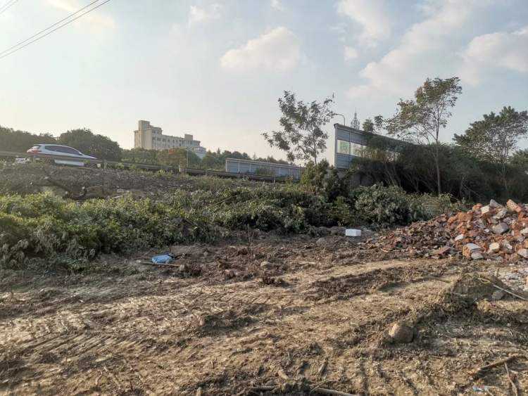 S4再造新辅道？