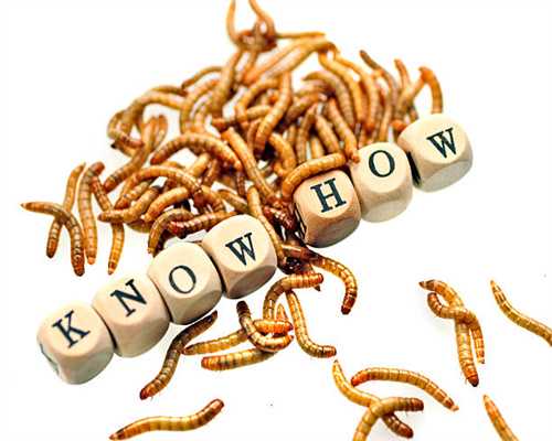 专车高大上快车挺省钱 你约谁？