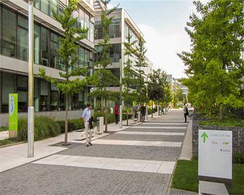 威士忌在中国市场的发展快速，高年份限量版酒款受热捧