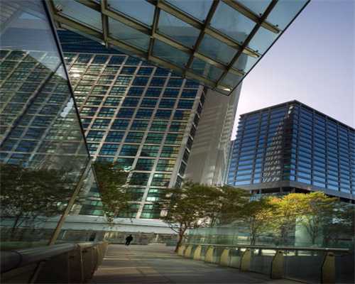 「哥哥的小霸总」13:弟弟的问候