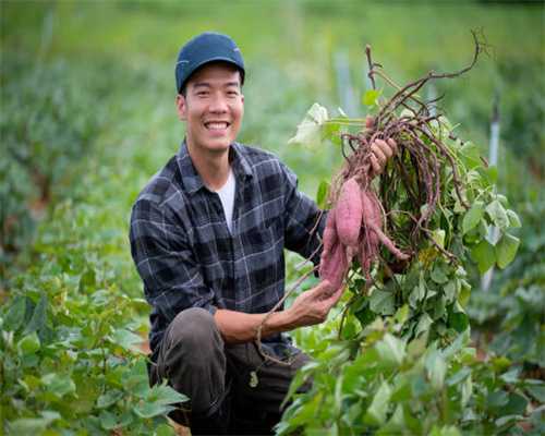 立功受奖送喜报 拥军优属暖民心——山西省朔州市平鲁区军地联合开展送喜报活动