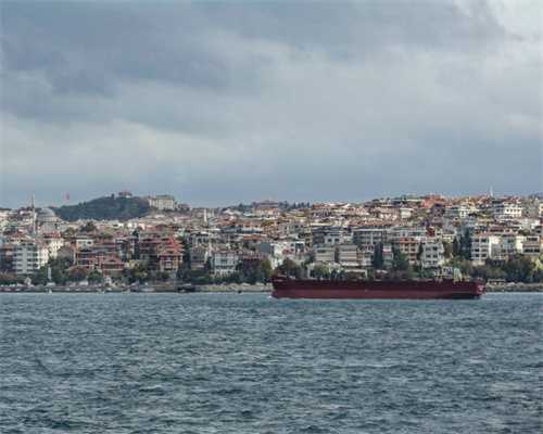 评估的内容有什么？