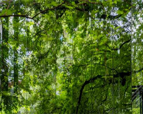 一口气带你看30位颜值美女车模 一口气带你看30位颜值美女车模