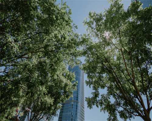 好莱坞经典“主角”只开了100公里？1979 旁蒂克火鸟 Trans Am SE