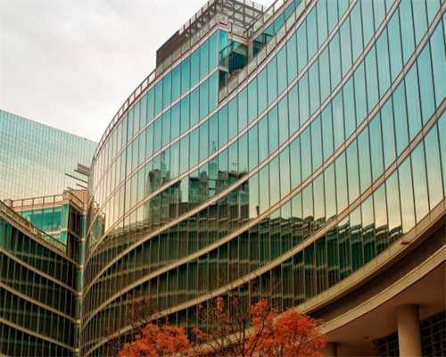 徒步日记：香港麦理浩径一、二段，还遇见野猪蛇猴子