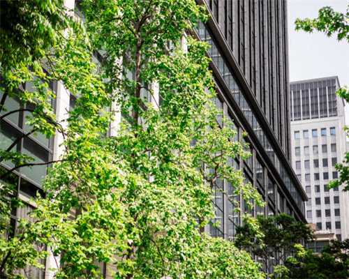 最强宝马M6售220万 能秒杀奔驰AMG/保时捷Turbo？