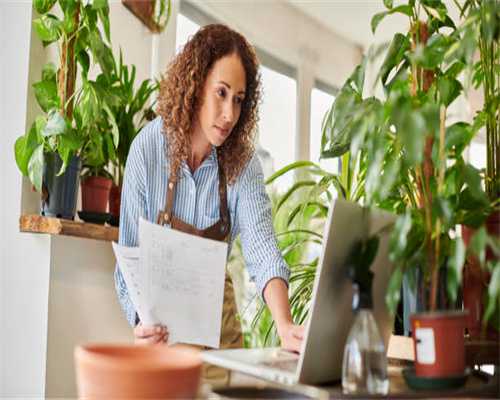 克什米尔，软黄金