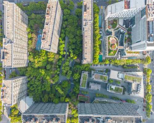 买到新款缤智别高兴太早，这几个功能不会用，会被笑话